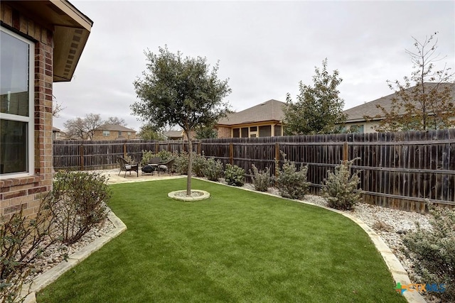 view of yard featuring a patio area