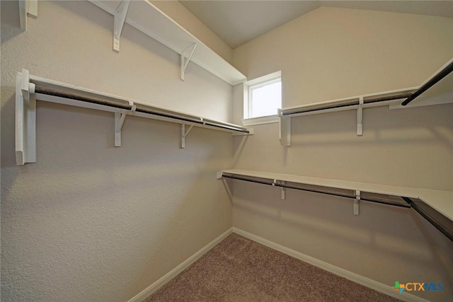 walk in closet featuring lofted ceiling and carpet