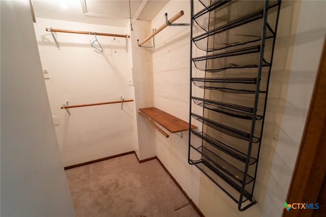 spacious closet featuring light colored carpet