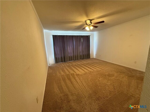 3054 Colorado Dr, Copperas Cove, TX 76522 - spare room featuring a ceiling fan, ornamental molding, carpet, a textured ceiling, and a textured wall