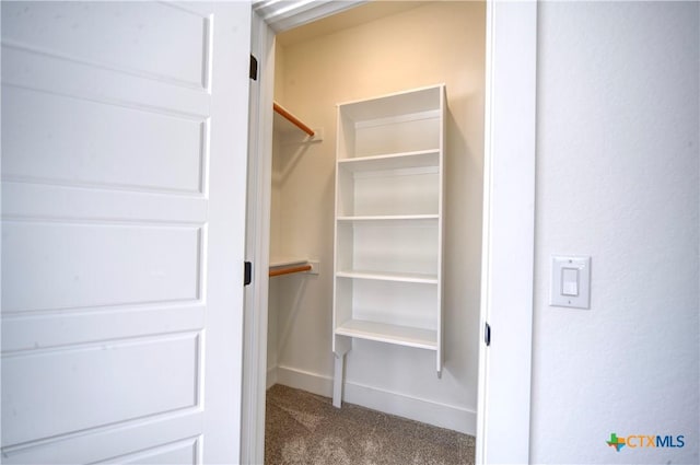 walk in closet featuring carpet