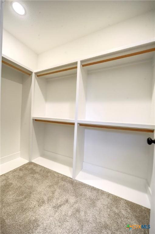 spacious closet with carpet