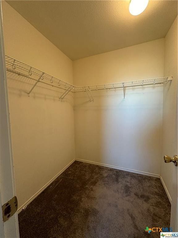 walk in closet featuring dark colored carpet