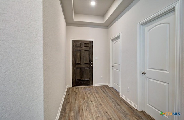 entryway with a raised ceiling and light hardwood / wood-style flooring