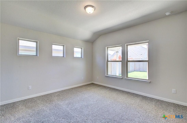 empty room featuring a wealth of natural light, carpet, and lofted ceiling