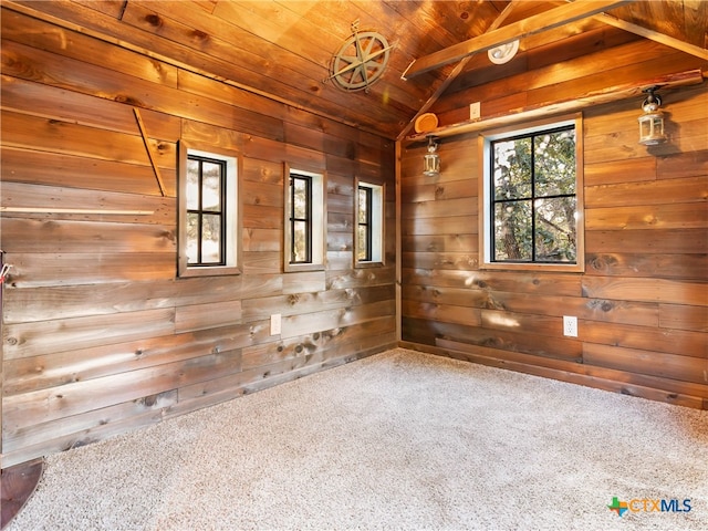 spare room with carpet flooring and wooden walls