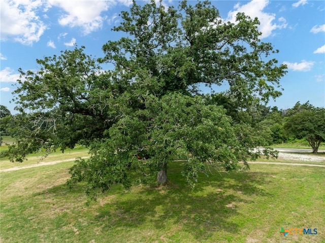 740 County Road 280, Cameron, TX 76520 - photo 39