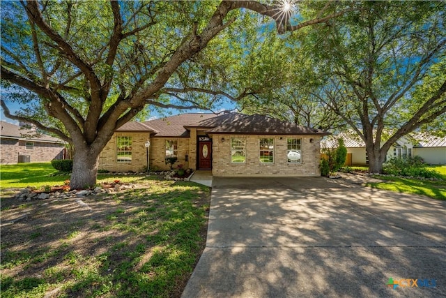 103 River Mdw, Castroville, TX 78009 - ranch-style house featuring brick siding, concrete driveway, and roof with shingles