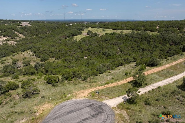 1031 Axis Trl, New Braunfels, TX 78132