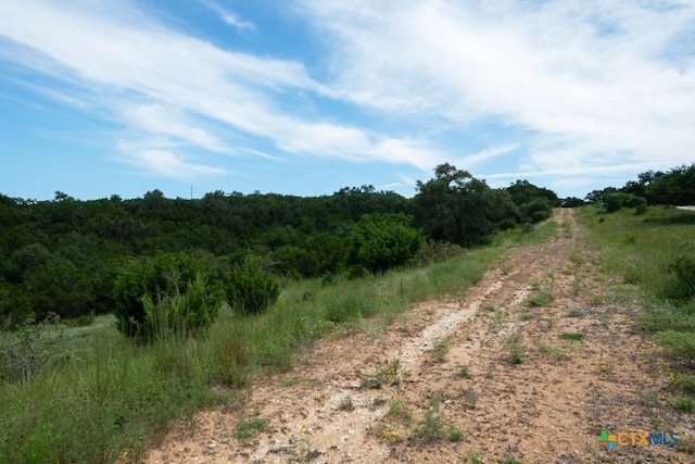 1031 Axis Trl, New Braunfels, TX 78132