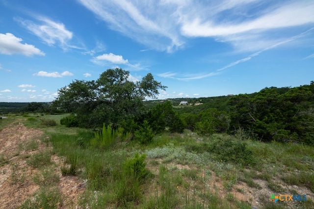 1031 Axis Trl, New Braunfels, TX 78132