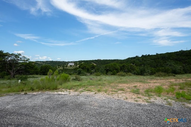 1031 Axis Trl, New Braunfels, TX 78132