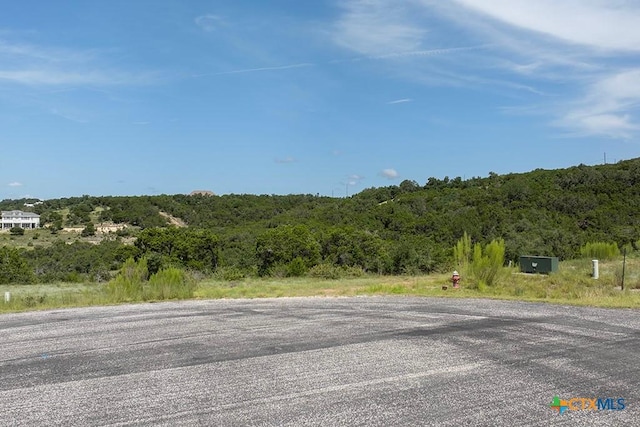 1031 Axis Trl, New Braunfels, TX 78132