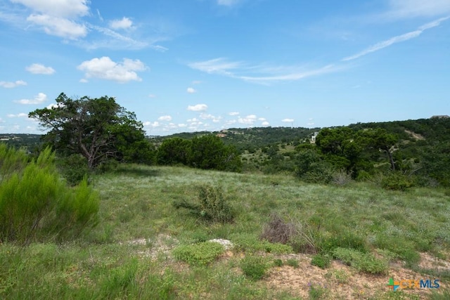 1031 Axis Trl, New Braunfels, TX 78132