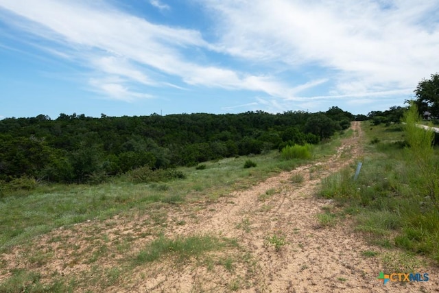 1031 Axis Trl, New Braunfels, TX 78132