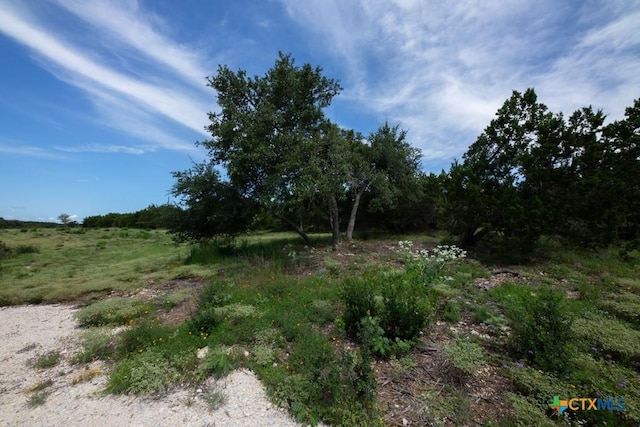 1031 Axis Trl, New Braunfels, TX 78132