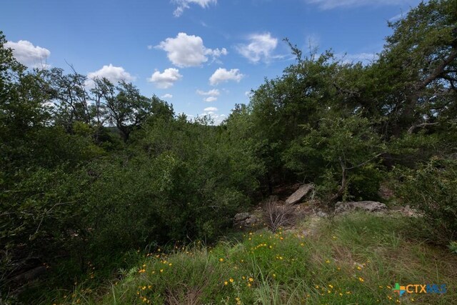 1031 Axis Trl, New Braunfels, TX 78132