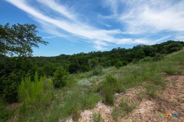 1031 Axis Trl, New Braunfels, TX 78132