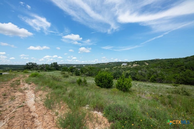1031 Axis Trl, New Braunfels, TX 78132