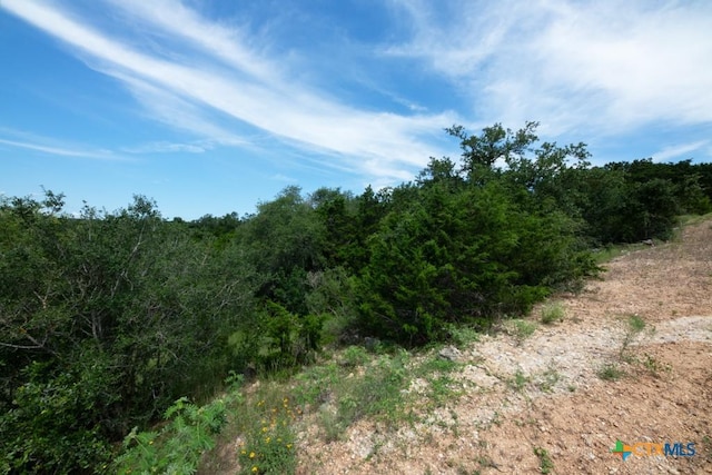 1031 Axis Trl, New Braunfels, TX 78132