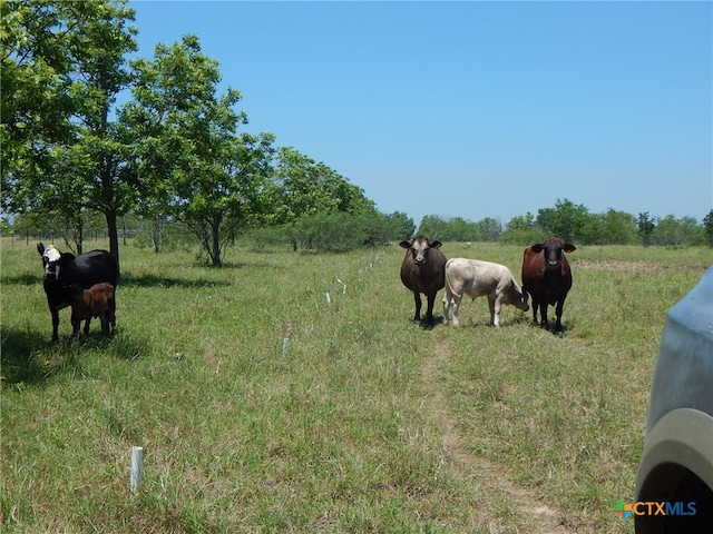 20441 Fm 2268, Holland TX, 76534 land for sale