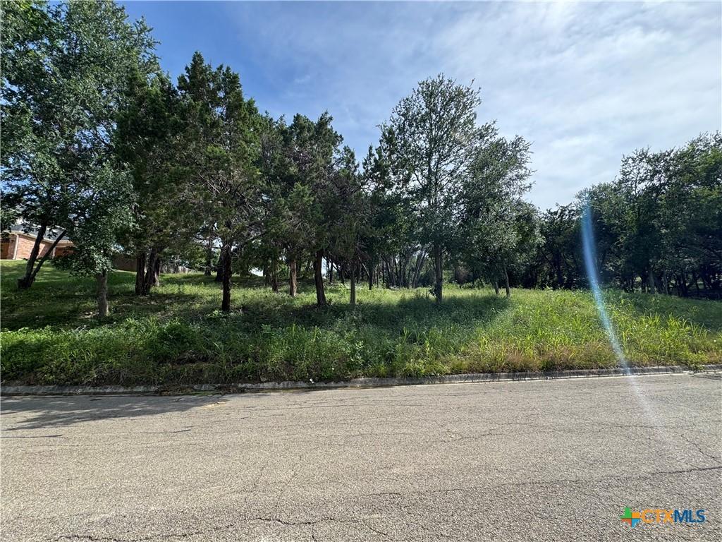 3611 White Oak Dr, Temple, TX 76502 - photo 1