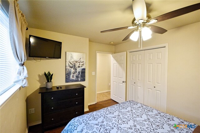 bedroom featuring ceiling fan, dark hardwood / wood-style floors, and a closet