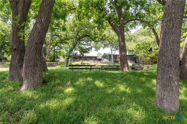 1172 Ponderosa Dr, New Braunfels, TX 78132 - photo 7