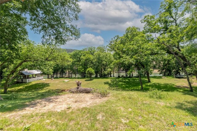 1172 Ponderosa Dr, New Braunfels, TX 78132 - photo 5