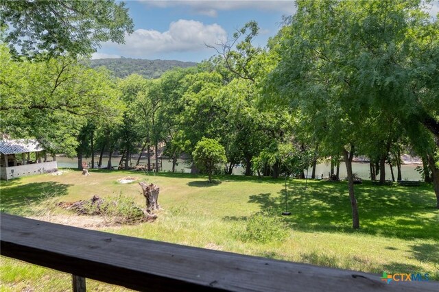 1172 Ponderosa Dr, New Braunfels, TX 78132 - photo 4