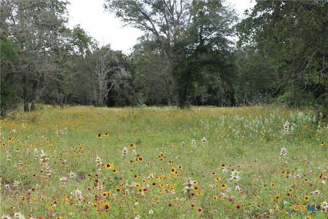 TBD Twin Creeks, Seguin TX, 78155 land for sale