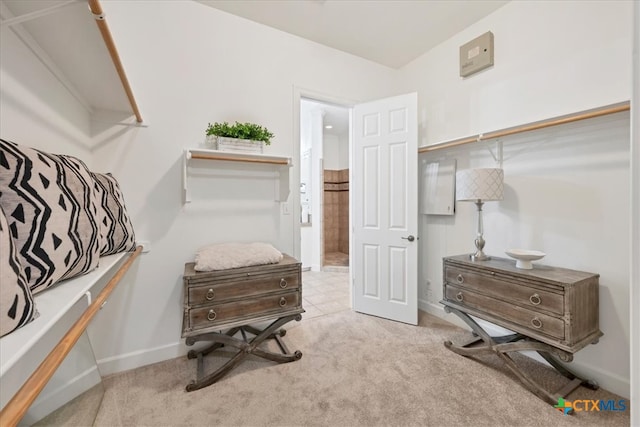 spacious closet with light colored carpet