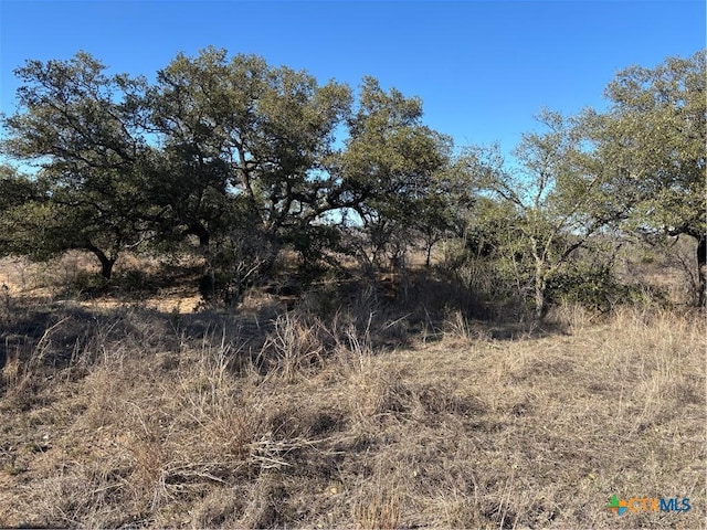 241 Lehne Loop, Buchanan Dam TX, 78609 land for sale