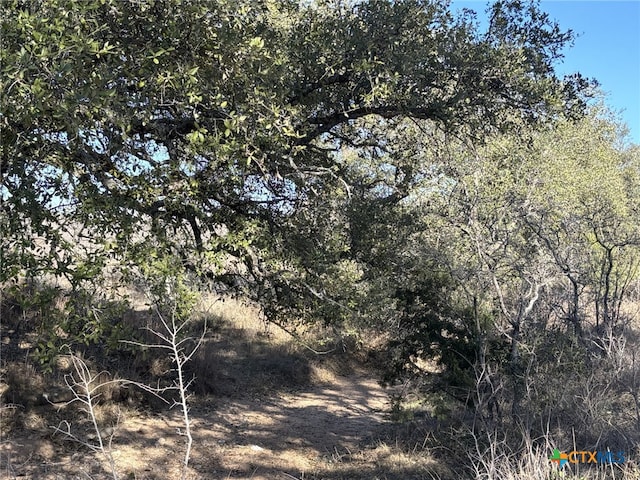 241 Lehne Loop, Buchanan Dam, TX 78609 - photo 1
