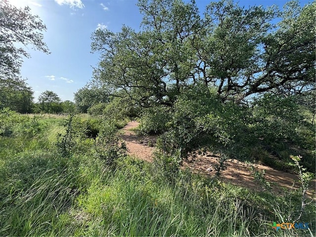 241 Lehne Loop, Buchanan Dam, TX 78609 - photo 11