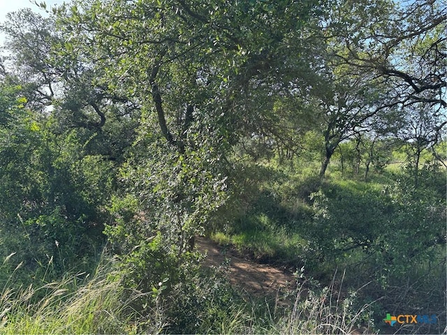 241 Lehne Loop, Buchanan Dam, TX 78609 - photo 13