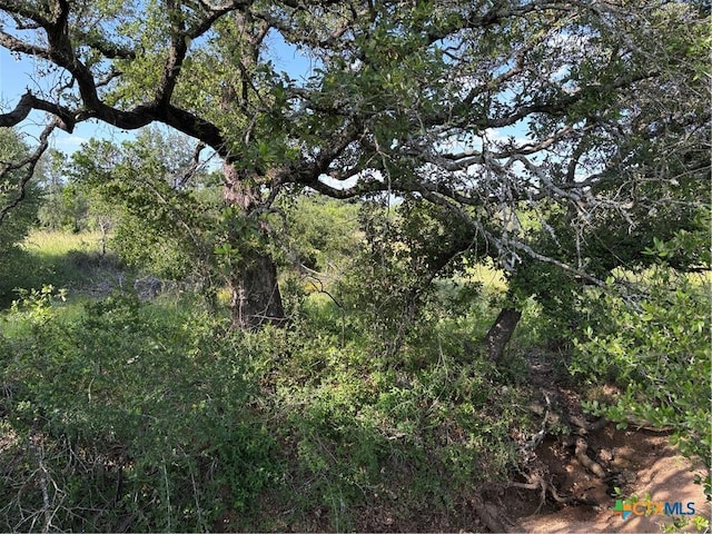 241 Lehne Loop, Buchanan Dam, TX 78609 - photo 8