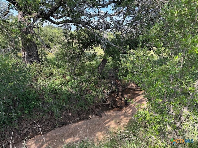 241 Lehne Loop, Buchanan Dam, TX 78609 - photo 12