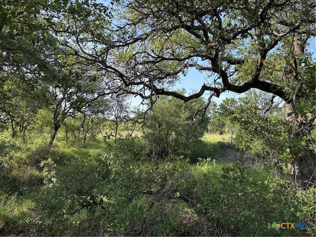 241 Lehne Loop, Buchanan Dam, TX 78609 - photo 7