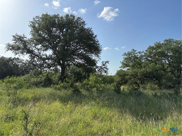 241 Lehne Loop, Buchanan Dam, TX 78609 - photo 16