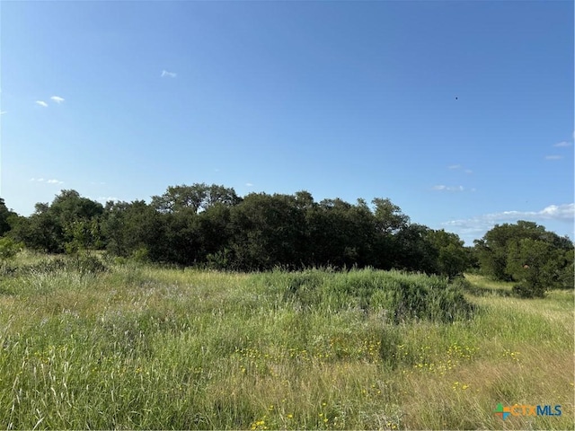 241 Lehne Loop, Buchanan Dam, TX 78609 - photo 6