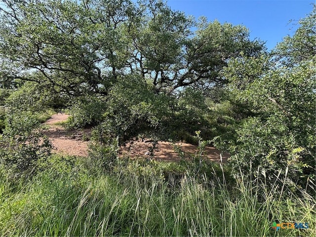 241 Lehne Loop, Buchanan Dam, TX 78609 - photo 10