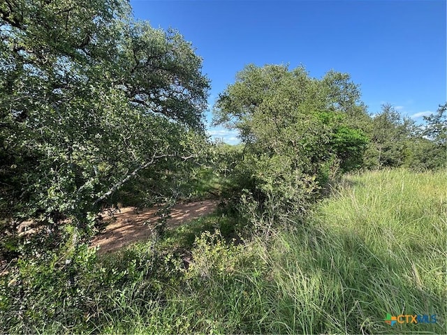 241 Lehne Loop, Buchanan Dam, TX 78609 - photo 9