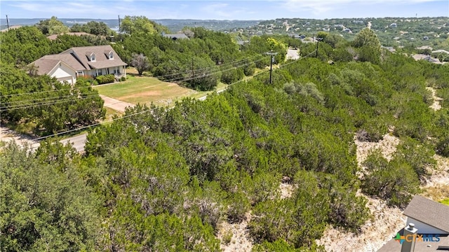 22335 Briarcliff Dr, Spicewood, TX 78669 - photo 4