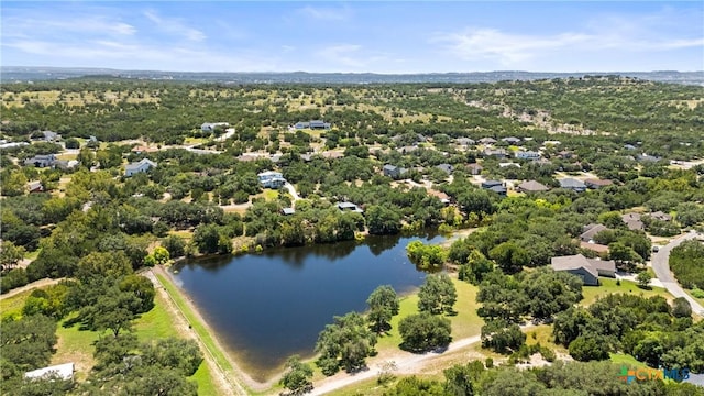 22335 Briarcliff Dr, Spicewood, TX 78669 - photo 9