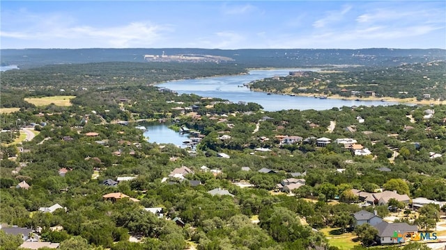 22335 Briarcliff Dr, Spicewood, TX 78669 - photo 1