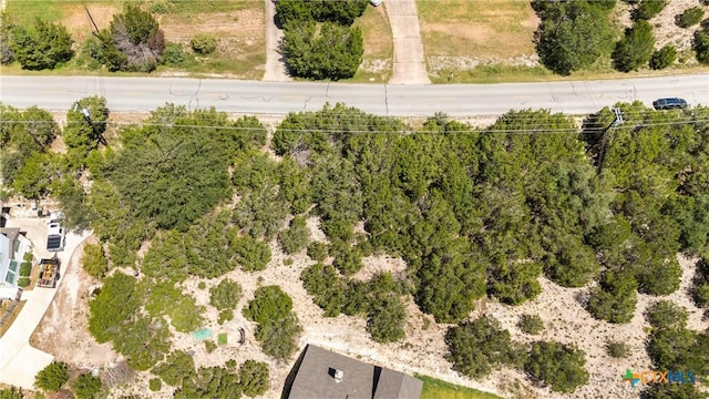 22335 Briarcliff Dr, Spicewood, TX 78669 - photo 8
