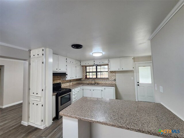 kitchen featuring white cabinetry, a sink, decorative backsplash, and stainless steel electric stove