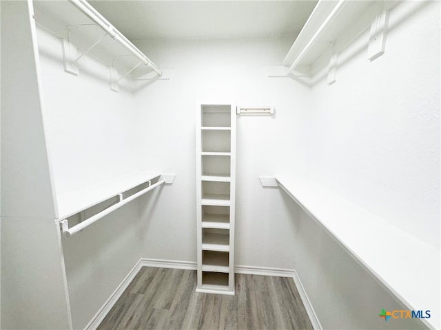 spacious closet with hardwood / wood-style flooring