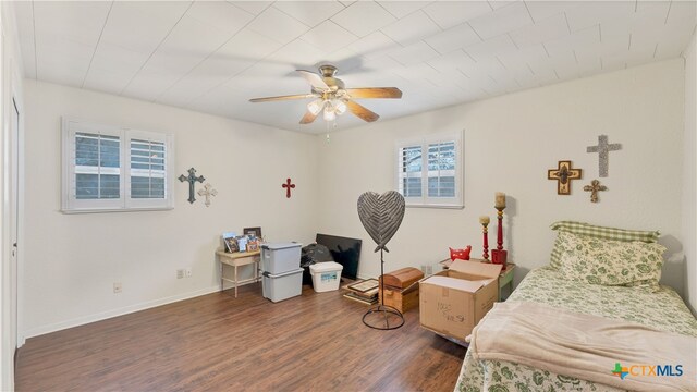 bedroom with dark hardwood / wood-style flooring and ceiling fan